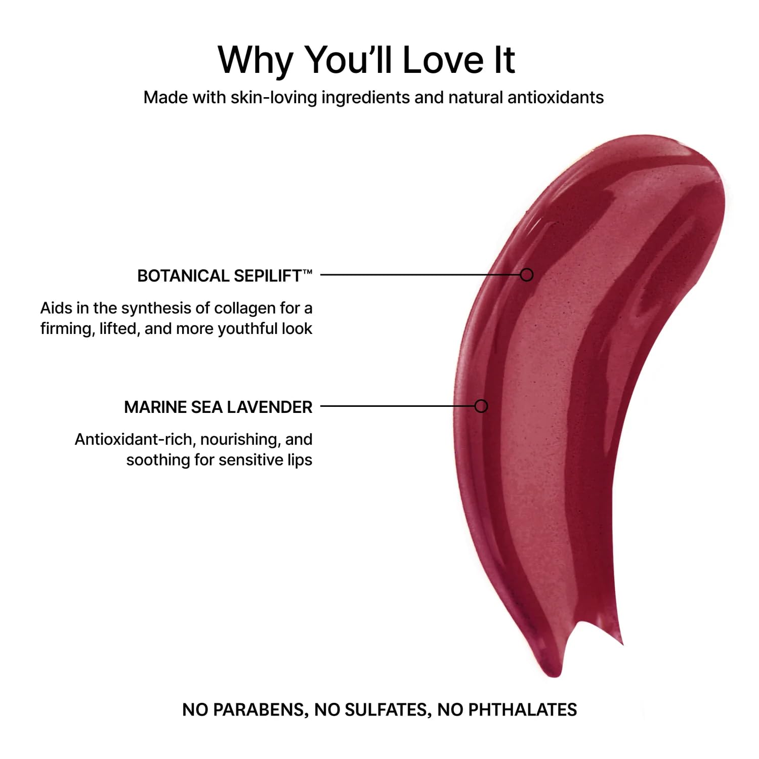 Jillian Dempsey Lip Gloss: Enhance, Hydrate & Smooth Lips with Firming & Plumping Benefits, Vegan, 4ml | Lavish Berry-Velvo Beauty