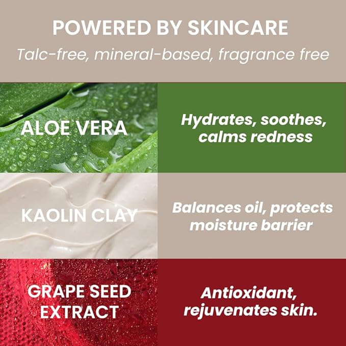 True + Luscious Sheer Halo Complexion Powder – Natural Matte Finish Foundation, Sheer to Medium Coverage – Clean, Vegan and Cruelty Free Powder Foundation – 0.32 oz-Velvo Beauty