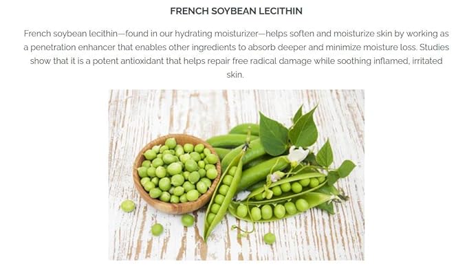 Pistaché Skincare Pistachio Oil 5-Pc Mini Collection (Travel) + Body Butter, Hand Cream, Biscotti Perfume, Eye Cream & Face Moisturizer + Hydrates and Nourishes + Vitamin E + Antioxidant Protection-Velvo Beauty