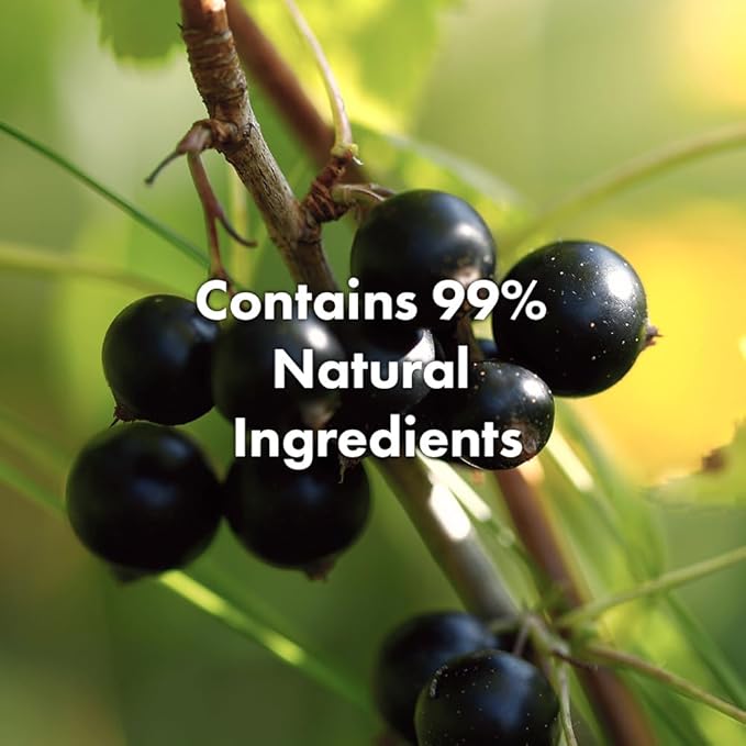 RATED GREEN Cold Press Tamanu Oil Soothing Scalp Pack w. Black Currant | Organic Tamanu Oil, Turmeric | Deep Relief Mask for Irritated Scalp | Silicone-Free, Korean Vegan Formula | 6.76 Fl. Oz-Velvo Beauty