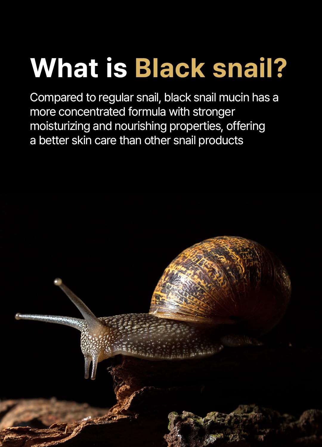 Farmstay Black Snail & Peptide 9 Perfect Facial & Neck Roller Serum – Firming & Lifting, Deep Hydration & Skin Elasticity, Snail Mucin & 9 Peptides for Youthful Glow & Smooth Skin, 100ml-Velvo Beauty