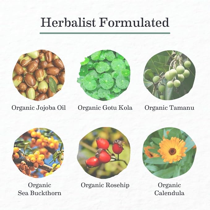 Earth Mama Organic Skin & Scar Balm |C-Section Recovery Skin Care, Pregnancy Stretch Mark Scar Cream with Organic Jojoba Oil, Tamanu Oil & Gotu Kola (2-Pack)-Velvo Beauty