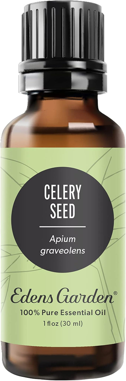 Edens Garden Celery Seed Essential Oil- 100% Pure Premium Grade, Undiluted, Natural, Therapeutic, Aromatherapy, The Best for Diffuser, Skin, Candle, Laundry 30 ml (1 fl oz)-Velvo Beauty