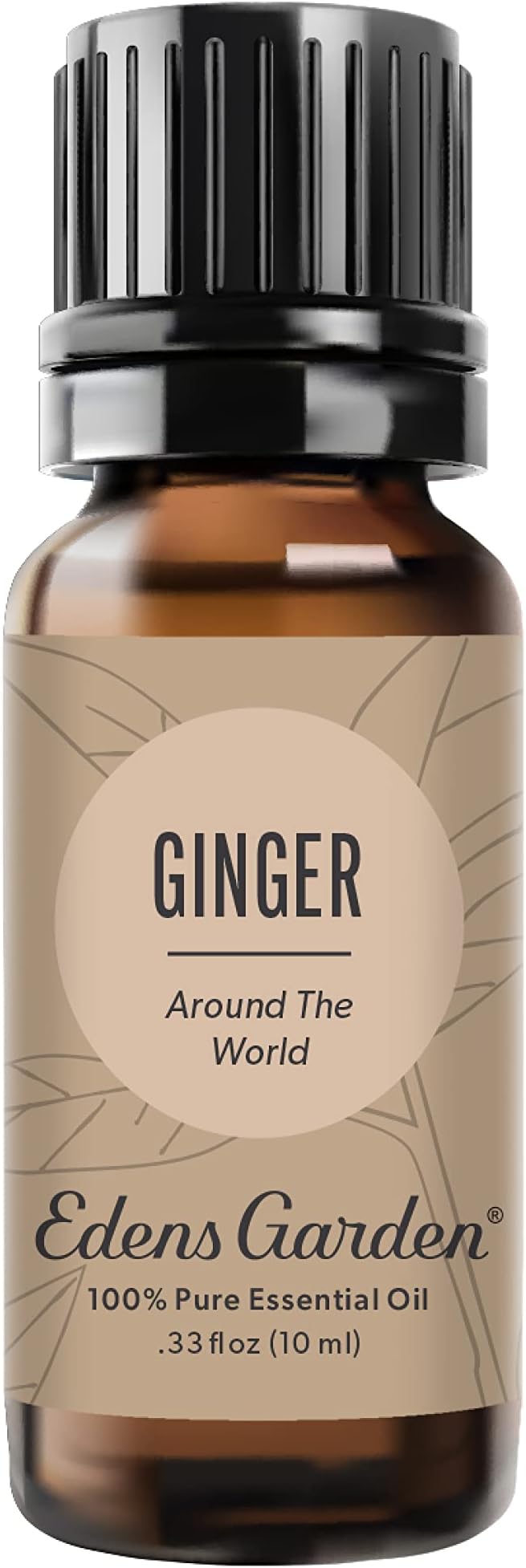 Edens Garden Ginger Around The World Essential Oil- 100% Pure Premium Grade, Undiluted, Natural, Therapeutic, Aromatherapy, The Best for Diffuser, Skin, Candle, Laundry 10 ml (.33 fl oz)-Velvo Beauty