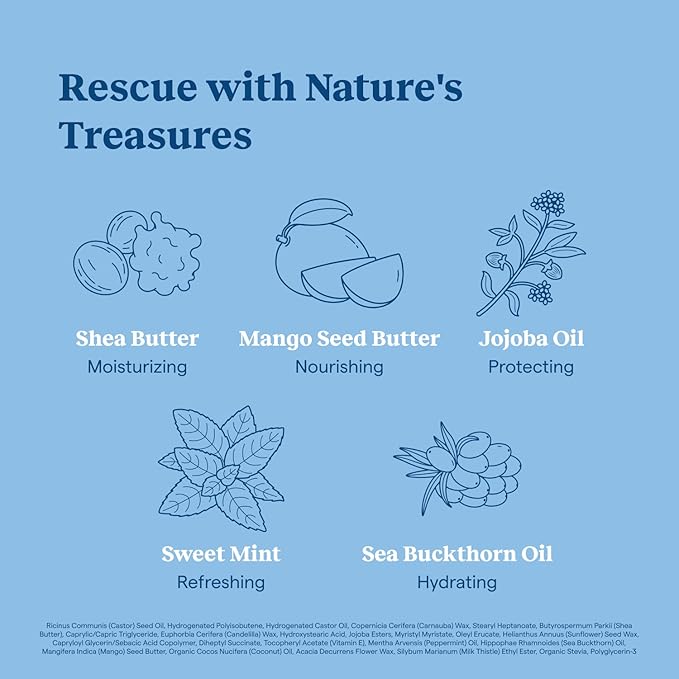 Kinfield Lip Rescue - Minty Tube Lip Balm - Moisturizing Lip Treatment for Dry, Chapped Lips - Untinted - Beeswax and Cruelty-Free Skincare - 0.5 oz / 15 g-Velvo Beauty