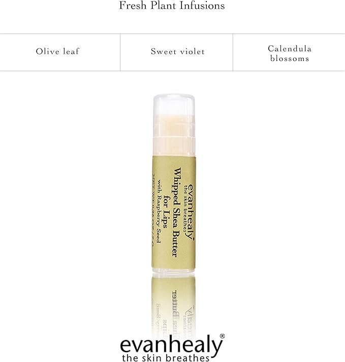 evanhealy Whipped Shea Butter for Lips | Organic Red Raspberry Seed Oil, Beeswax, & Argan Oil | Moisturizing Lip Balm (3 Pack)-Velvo Beauty