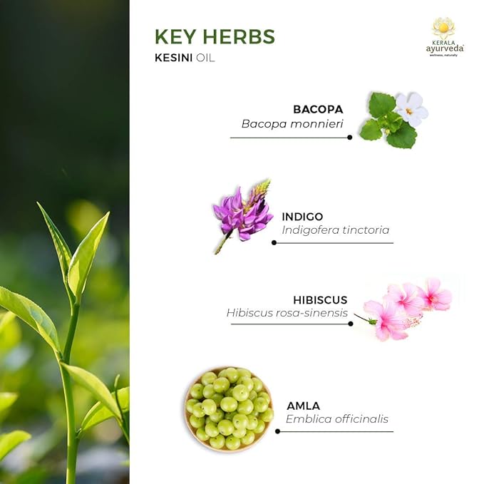 Kerala Ayurveda Kesini Hair Oil (3.38 fl oz) | Herbal Blend with Bacopa, Hibiscus, Amla, Indigo, Castor & Coconut Oil | Deeply Nourishes Dry Scalp & Strengthens Hair | Paraben-Free, Mineral Oil-Free-Velvo Beauty