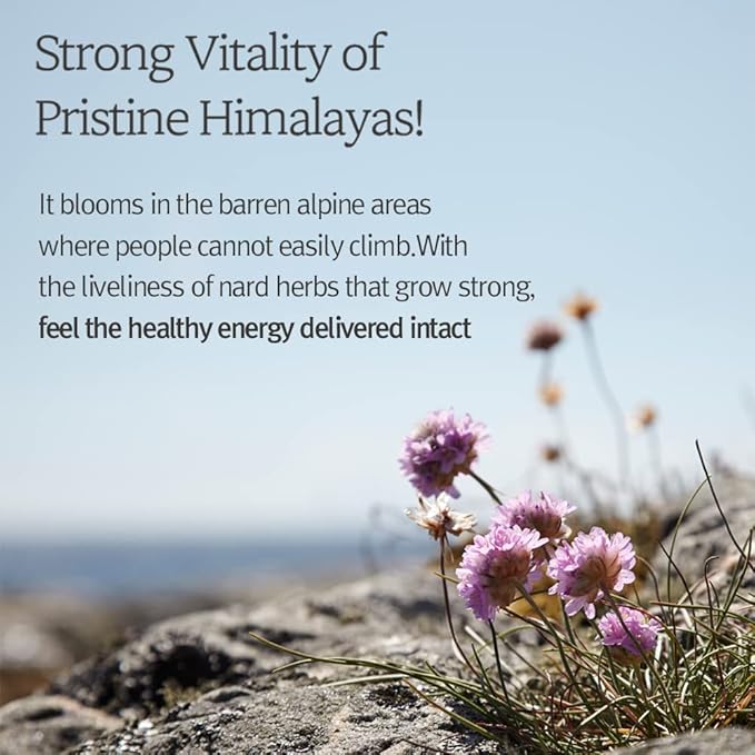 NARD Shampoo and Conditioner Set - Scalp Vitality, Soft Cleansing(Containing Argan Olive Jojoba Macadamia Sunflower Oil, Protein, and Amino Acids) - 33.8 oz Mother's day gift for mom-Velvo Beauty