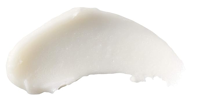 Burts Bees Rosemary and Lemon Lip Butter Unisex Lip Balm 0.4 oz-Velvo Beauty