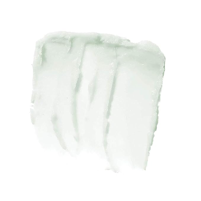 e.l.f. Lip Exfoliator, Mint Maniac, 0.11 oz. (82512)-Velvo Beauty