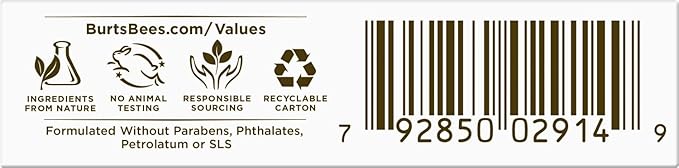 Burt's Bees Medicated Lip Balm, With Eucalyptus Oil and Menthol, Tint-Free, Natural Origin Lip Care, 2 Tubes, 0.15 oz.-Velvo Beauty