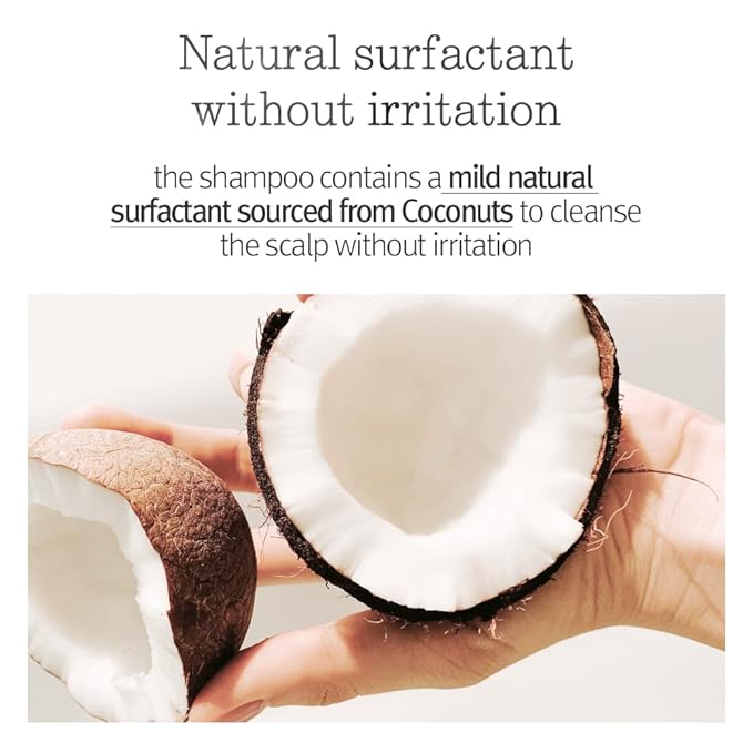 PYUNKANG YUL Hair&Body Travel Kit | Shampoo, Conditioner, Body Wash, Lotion, Spa Kit, 4 items | Low pH, Moisturizing, Soothing, Refreshing, Fragrance Free | Korean Skin Care | 3.38 Fl.Oz. x 4ea-Velvo Beauty