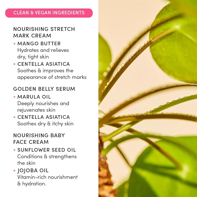 Evereden Mama & Baby Discovery Set - Dermatologist-Developed Clean & Vegan Maternity Skin Care Bundle - Stretch Mark Cream, Belly Serum, & Nourishing Baby Face Cream - Postpartum Gifts for New Mom-Velvo Beauty