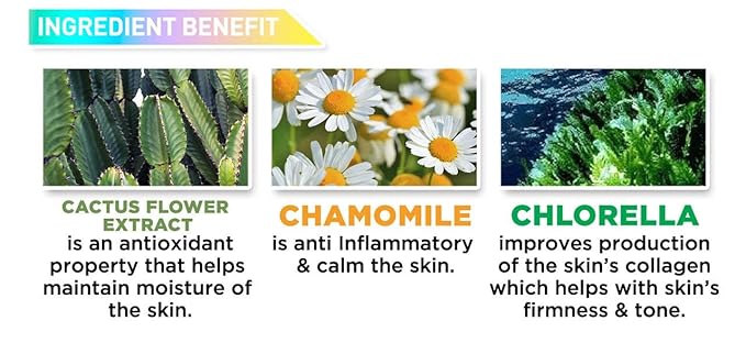 J.CAT BEAUTY Aquasurance Compact Foundation - Ivory-Velvo Beauty