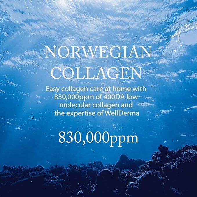 WELLDERMA Premium Retinol Collagen Restore Fitting Mask 4EA - Korean Collagen Face Mask for all around care, Wrinkles, Elasticity, Brightening, Deep Hydration, Face mask Skin Care-Velvo Beauty