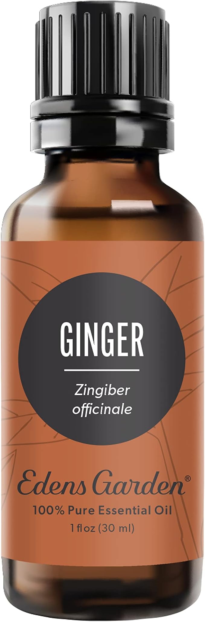 Edens Garden Ginger Essential Oil- 100% Pure Premium Grade, Undiluted, Natural, Therapeutic, Aromatherapy, The Best for Diffuser, Skin, Candle, Kid Safe 30 ml (1 fl oz)-Velvo Beauty