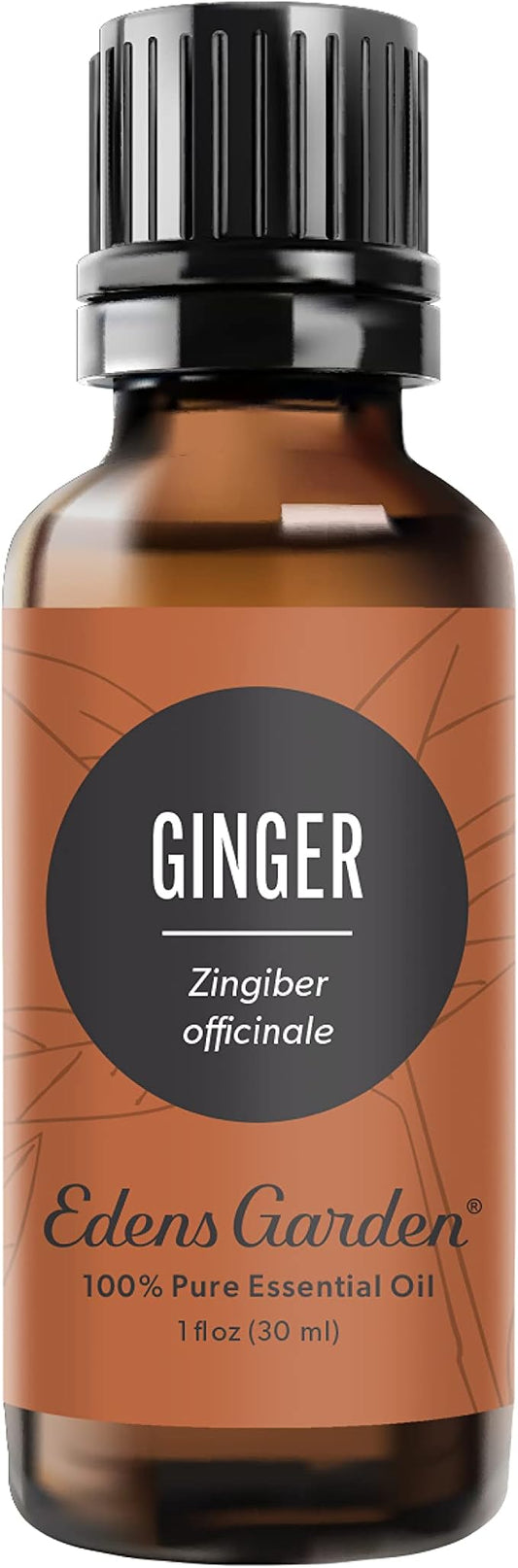 Edens Garden Ginger Essential Oil- 100% Pure Premium Grade, Undiluted, Natural, Therapeutic, Aromatherapy, The Best for Diffuser, Skin, Candle, Kid Safe 30 ml (1 fl oz)-Velvo Beauty