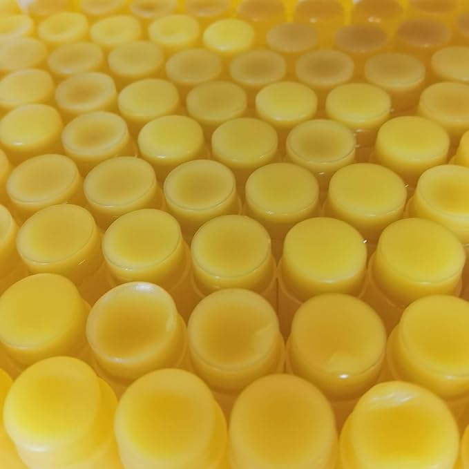 2PC Lip Balm Fade Dark Pigment Whitening Moisturizing Lip Hyaluronic Acid Exfoliating Dead Skin Lightening Lip Care (Yellow)-Velvo Beauty