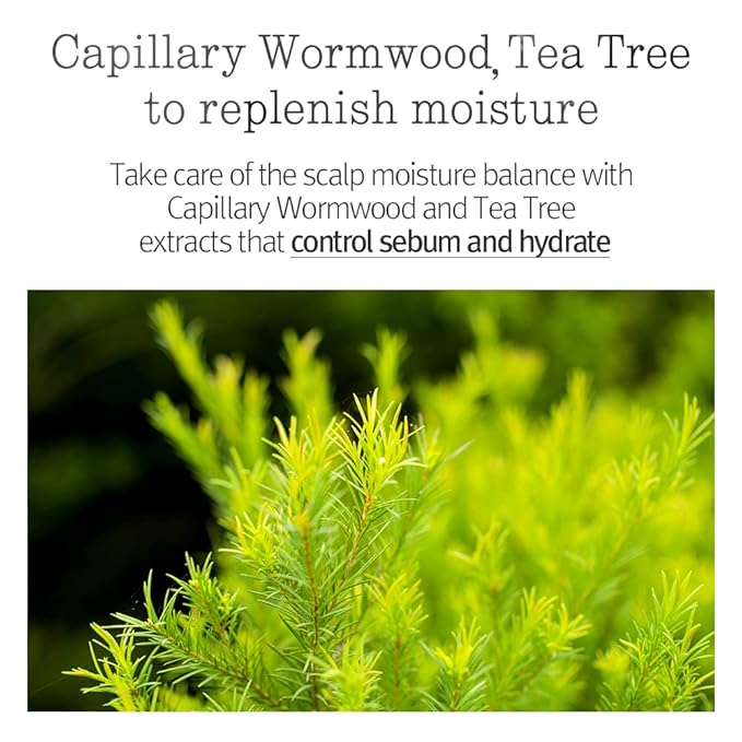 PYUNKANG YUL Hair&Body Travel Kit | Shampoo, Conditioner, Body Wash, Lotion, Spa Kit, 4 items | Low pH, Moisturizing, Soothing, Refreshing, Fragrance Free | Korean Skin Care | 3.38 Fl.Oz. x 4ea-Velvo Beauty