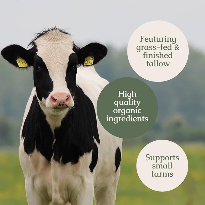 Handmade Tallow Lip Balm Collection: Unscented/Peppermint/Lavender-Spearmint (3x .33 oz)-Velvo Beauty