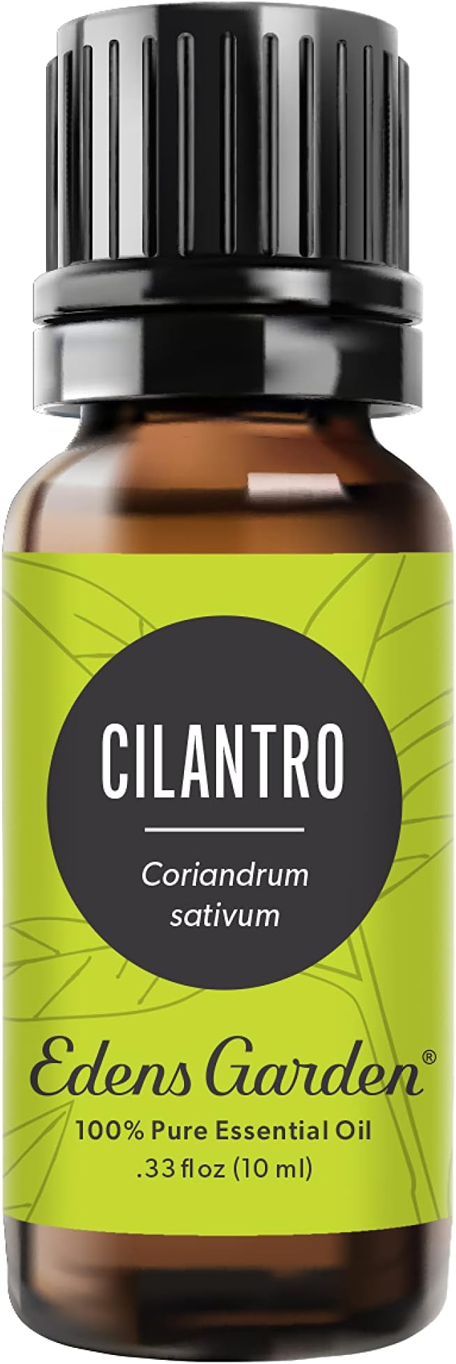 Edens Garden Cilantro Essential Oil- 100% Pure Premium Grade, Undiluted, Natural, Therapeutic, Aromatherapy, The Best for Diffuser, Candle, Laundry, Kid Safe 10 ml (.33 fl oz)-Velvo Beauty