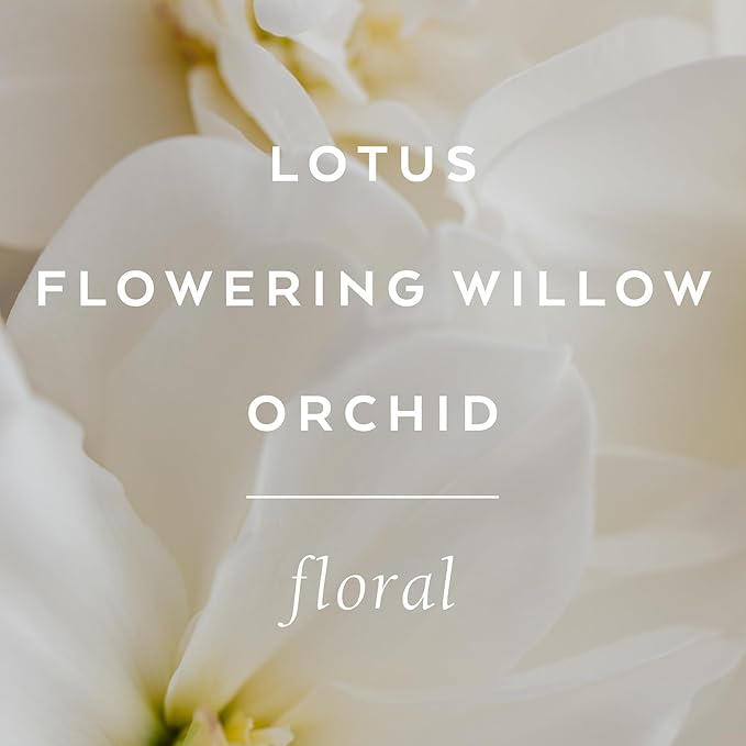 LOLLIA Imagine Dry Body Oil, 6.8 Fl. Oz. – Flowering Willow & Lotus – Women’s, Scented, Moisturizing, Dry Body Oil for Women, For All Skin Types-Velvo Beauty