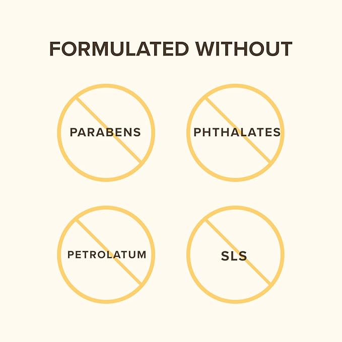 Burt's Bees Bee Mine Lip Balm Gift Set, Strawberry, Dragonfruit Lemon, Pomegranate and Watermelon, 4 Personalized Lip Balms, Pack May Vary-Velvo Beauty