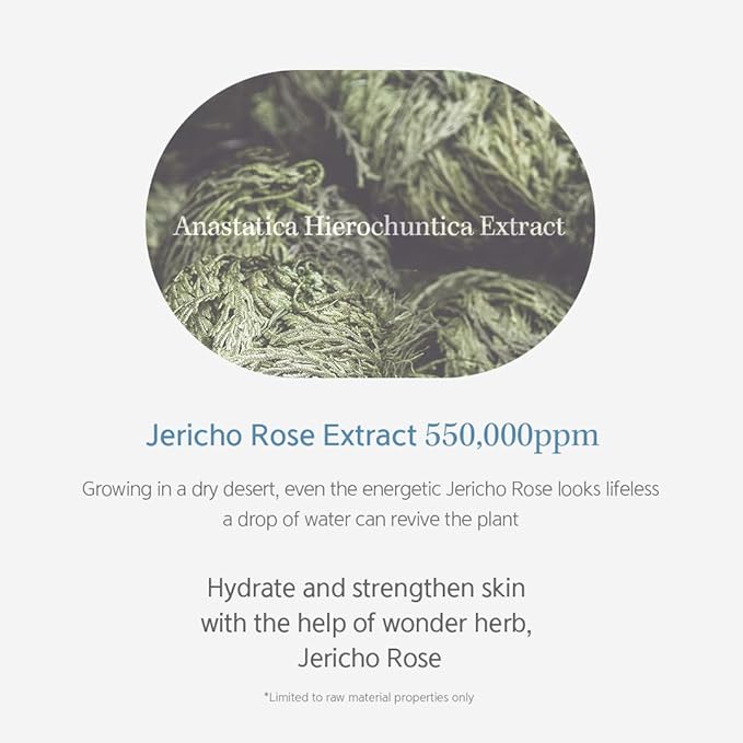 NACIFIC Hyal Booster Hydrating Set Toner 150ml 5.07fl.oz, Ampoule 50ml 1.69fl.oz, Cream 50ml 1.69fl.oz Hyaluronic Acid hydration and calming, ph5.5, Sensitive Skin-Velvo Beauty