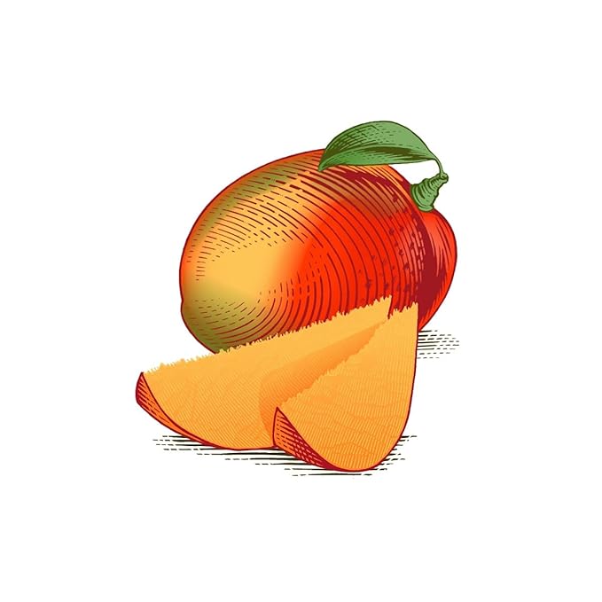 Burt's Bees Lip Balm - Mango, Lip Moisturizer With Responsibly Sourced Beeswax, Tint-Free, Natural Origin Conditioning Lip Treatment, 2 Tubes, 0.15 oz.-Velvo Beauty