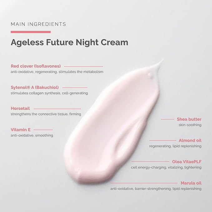 Ageless Future Night Cream (1.7 fl oz) - Skin Improving Anti-Aging Night Care – Regenerating Night Cream - with Vitamin A - Skin Care - Dr. Schrammek-Velvo Beauty