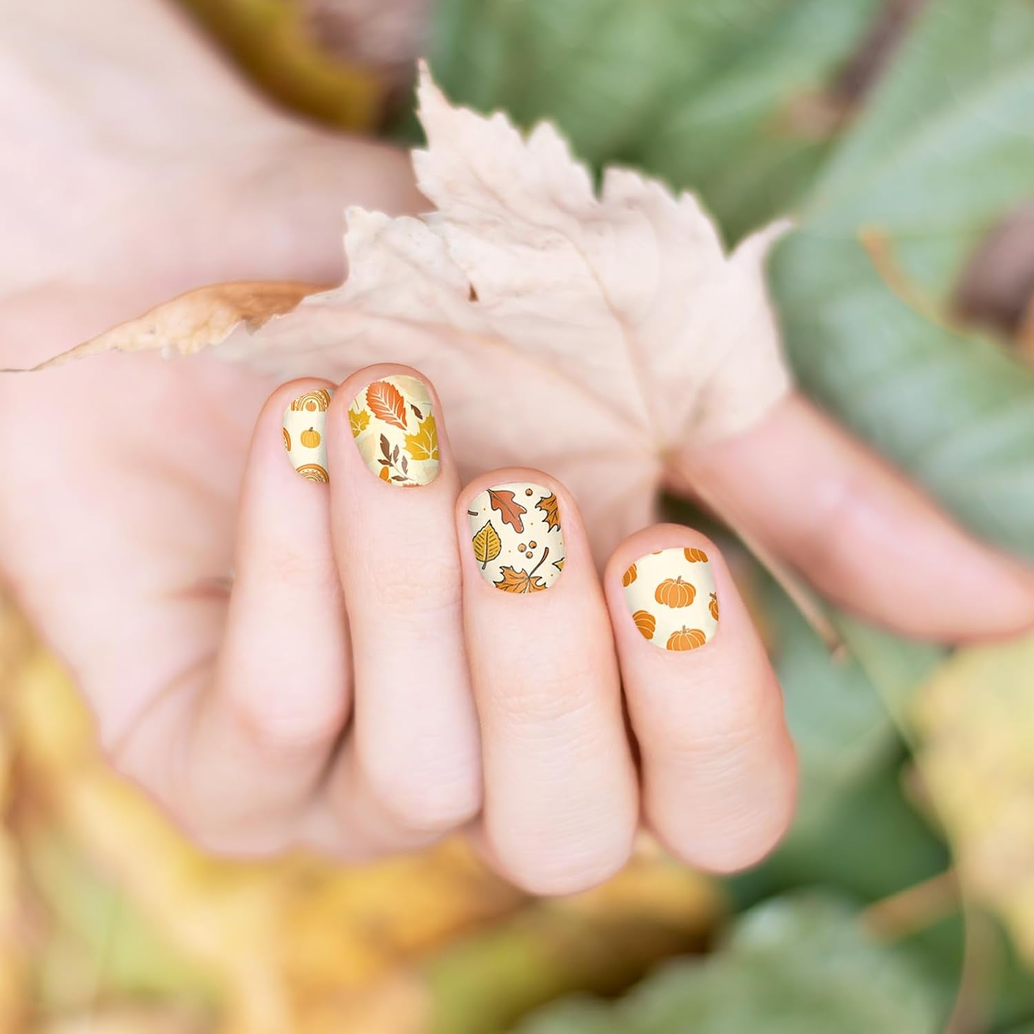 2 Sheet Fall Thanksgiving Nail Art Stamping Plate Kit Assorted Pumpkins Maple Leaves Autumn Blessing Collection Nail Art Plate for Holiday DIY Print Manicure Salon, 5.7 x 3.7inch-Velvo Beauty