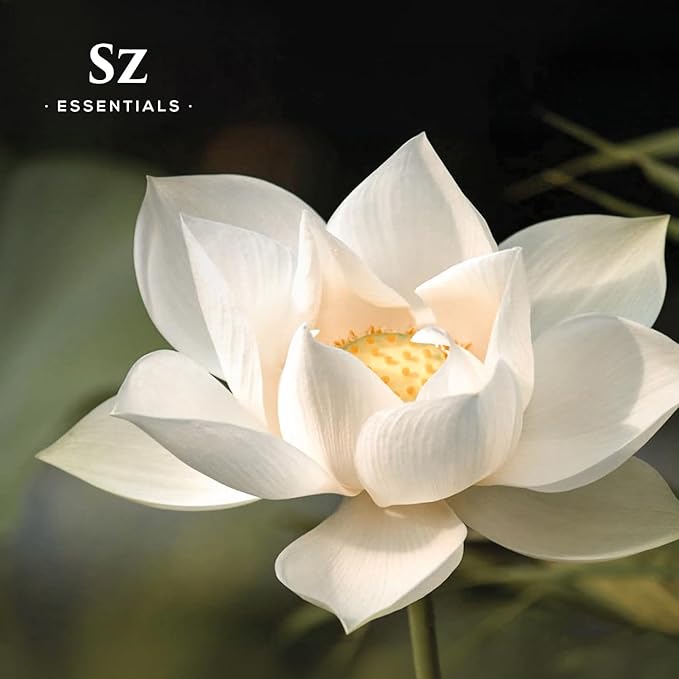 White Lotus 100% Pure, Essential Natural Oil - Extracted from Nymphaea Lotus - Rich & Sweet Scent, with Exotic Floral Overtones - Therapeutic Grade & Vegan - 0.17 fl oz (5ml)-Velvo Beauty