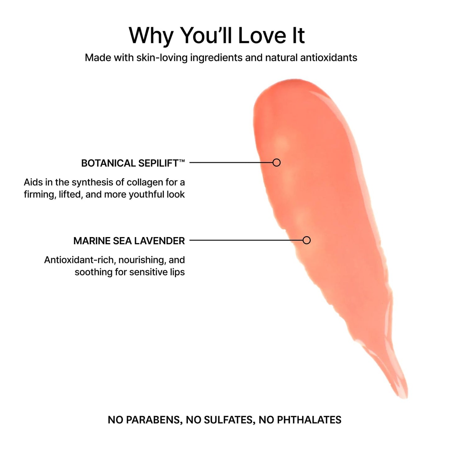 Jillian Dempsey Lip Gloss: Enhance, Hydrate & Smooth Lips with Firming & Plumping Benefits, Vegan, 4ml | Peachy Peach-Velvo Beauty