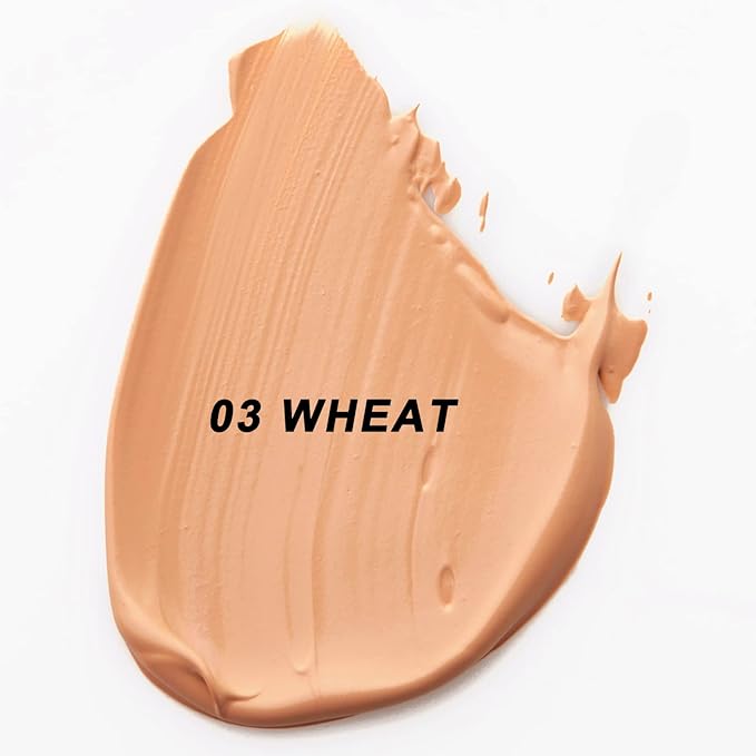 Mushroomhead Air Cushion CC Cream Flawless Foundation Natural BB Full Coverage Blemishes Long Lasting Waterproof,Multi-Function Beauty With Brush (-Velvo Beauty