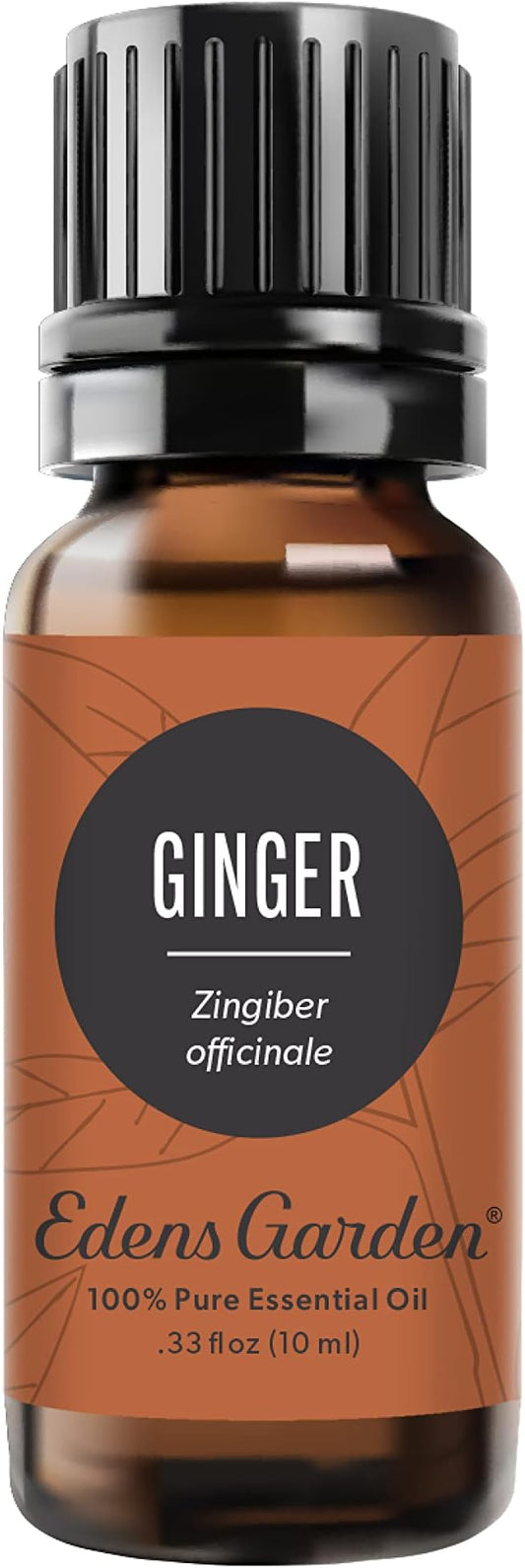 Edens Garden Ginger Essential Oil- 100% Pure Premium Grade, Undiluted, Natural, Therapeutic, Aromatherapy, The Best for Diffuser, Skin, Candle, Kid Safe 10 ml (.33 fl oz)-Velvo Beauty