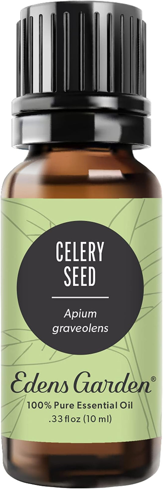 Edens Garden Celery Seed Essential Oil- 100% Pure Premium Grade, Undiluted, Natural, Therapeutic, Aromatherapy, The Best for Diffuser, Skin, Candle, Laundry 10 ml (.33 fl oz)-Velvo Beauty