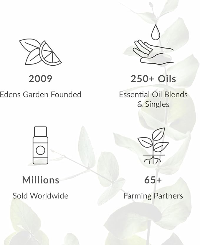 Edens Garden Cilantro Essential Oil- 100% Pure Premium Grade, Undiluted, Natural, Therapeutic, Aromatherapy, The Best for Diffuser, Candle, Laundry, Kid Safe 30 ml (1 fl oz)-Velvo Beauty