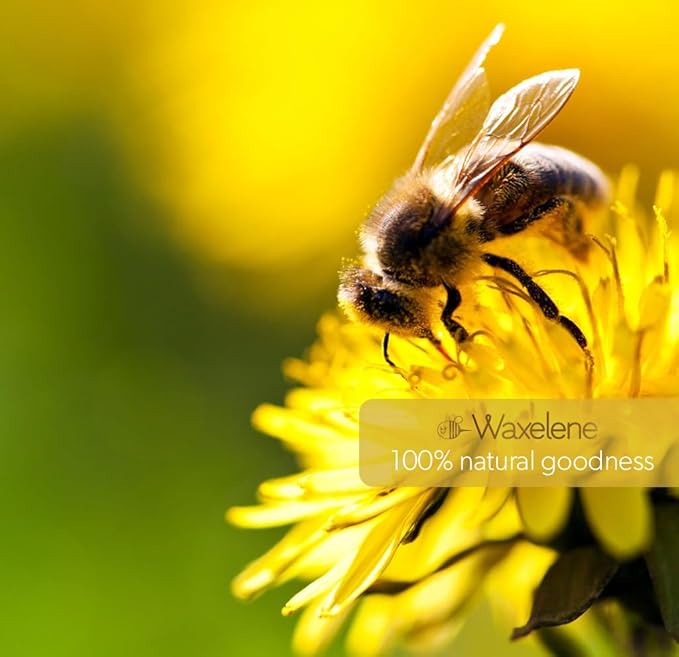 Waxelene Original Aerated Lip Balm Tin 4pc, Best Lip Balm Ever Organic Multipurpose Ointment Baby Eczema Dry Sensitive Skin Body Hand Face Moisturizer-Velvo Beauty