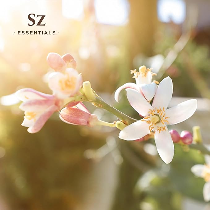 Daidai Blossom Essential Oil - 100% Pure and Undiluted Neroli-Daidai - Citrus Aurantium cv Daidai - Floral & Citrusy Scent with Oriental Overtones - Therapeutic Grade & Vegan - 0.17oz-Velvo Beauty