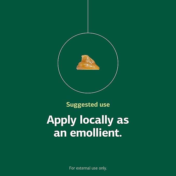 Standard Process USF Ointment - Supports Soft, Healthy Skin - Moisturizing Skin Cream for Dry Hands & Body - 1.8 oz-Velvo Beauty