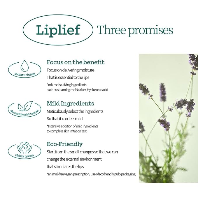 Holika Holika Liplief Steaming Lip Balm All Day 0.11 Ounce-Velvo Beauty