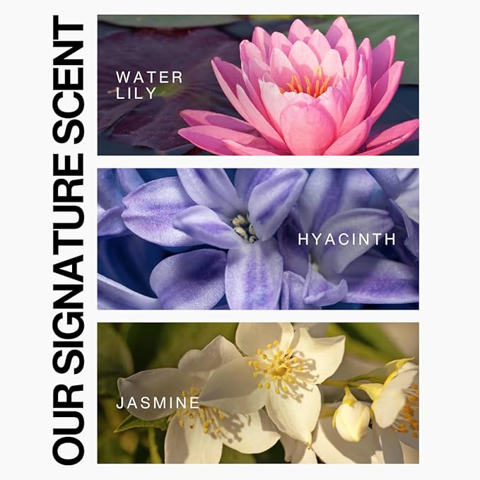 Lasio Hypersilk Revitalizing Hair Masque – Deep Conditioning & Hair Repair with Cocamide Oil & Keratin – Enhances Keratin Treatment Longevity – For Dry, Damaged & Color-Treated Hair – 4.43 oz-Velvo Beauty