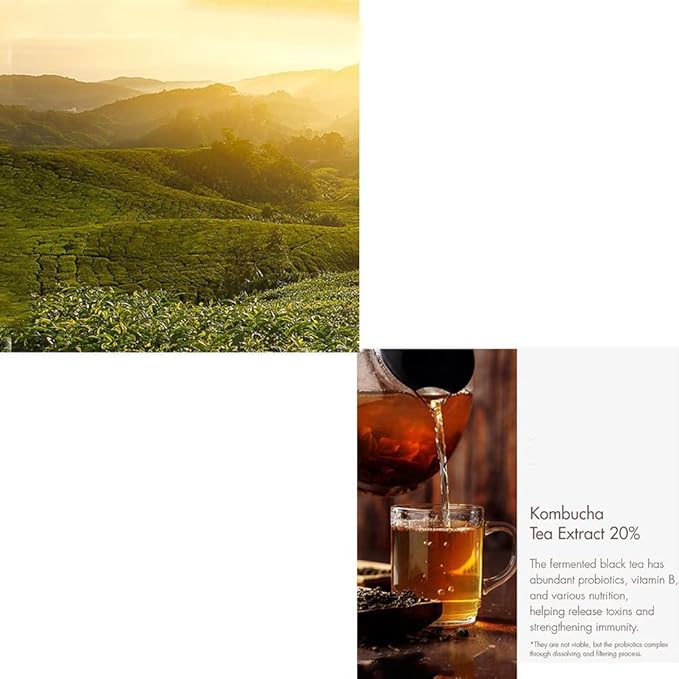 [Dr.Ceuracle] Vegan Kombucha Tea BB Cream 30ml SPF30 PA++-Velvo Beauty