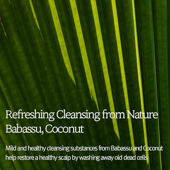 Bouquet Garni NARD Hair Shampoo Lavender Musk - Scalp Vitality, and Soft Cleansing (Containing Argan Olive Jojoba Macadamia Sunflower Oil, Protein, and Amino Acids) - 16.9 oz-Velvo Beauty