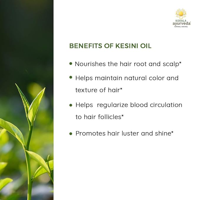 Kerala Ayurveda Kesini Hair Oil (3.38 fl oz) | Herbal Blend with Bacopa, Hibiscus, Amla, Indigo, Castor & Coconut Oil | Deeply Nourishes Dry Scalp & Strengthens Hair | Paraben-Free, Mineral Oil-Free-Velvo Beauty