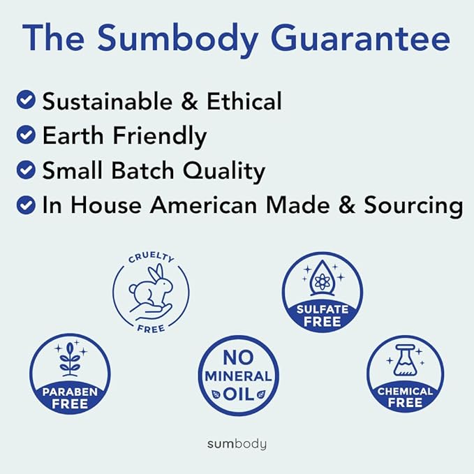 Lip Balm Beeswax Gift Set -Assorted Flavors, Shea & Coconut Butters Nourishing Soothing Lip Moisturizer for Dry Cracked Chapped Lips, Made in USA 100% Natural Ingredients, for women Men kids-Velvo Beauty