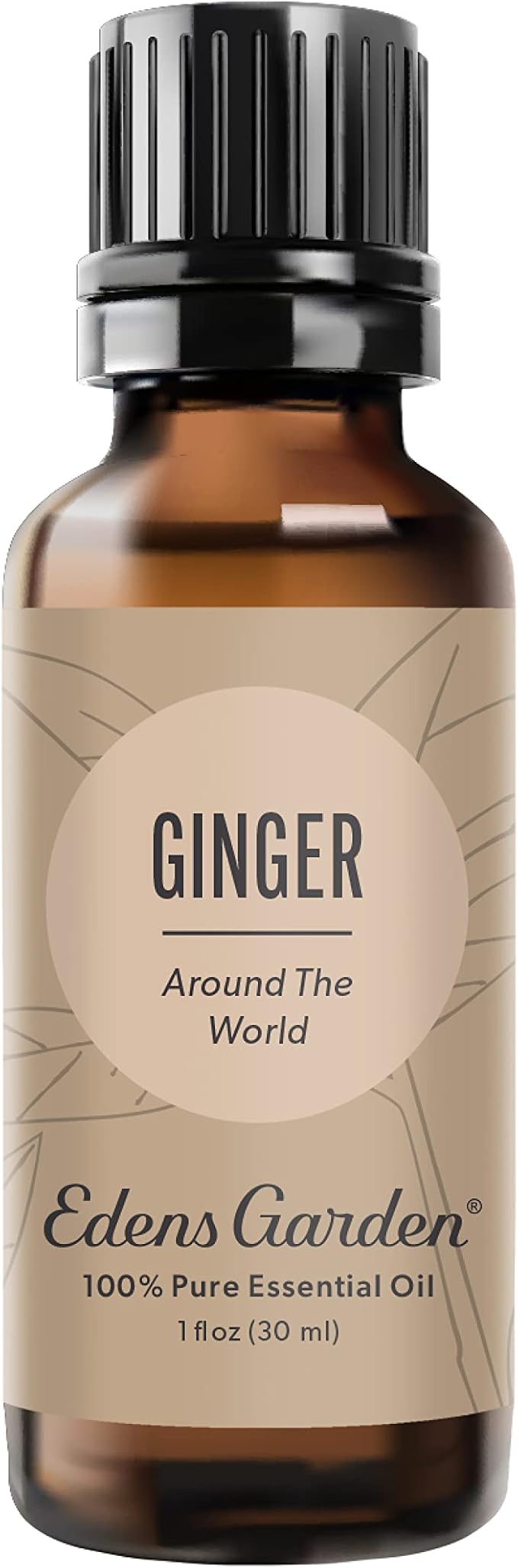 Edens Garden Ginger Around The World Essential Oil- 100% Pure Premium Grade, Undiluted, Natural, Therapeutic, Aromatherapy, The Best for Diffuser, Skin, Candle, Laundry 30 ml (1 fl oz)-Velvo Beauty