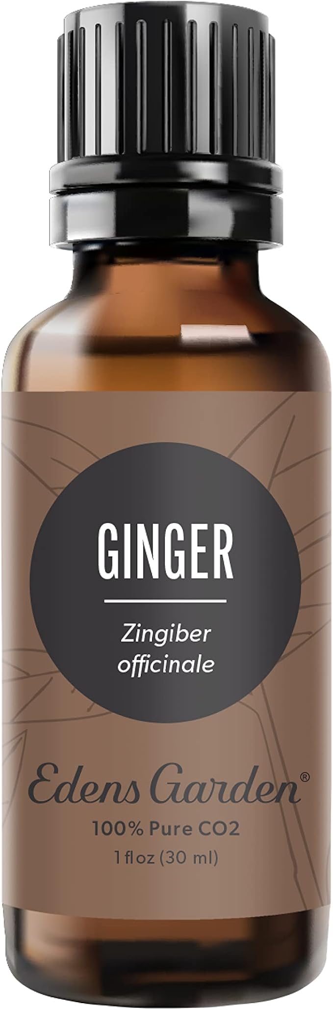 Edens Garden Ginger CO2 Essential Oil- 100% Pure Premium Grade, Undiluted, Natural, Therapeutic, Aromatherapy, The Best for Diffuser, Candle, Laundry, Humidifiers 30 ml (1 fl oz)-Velvo Beauty