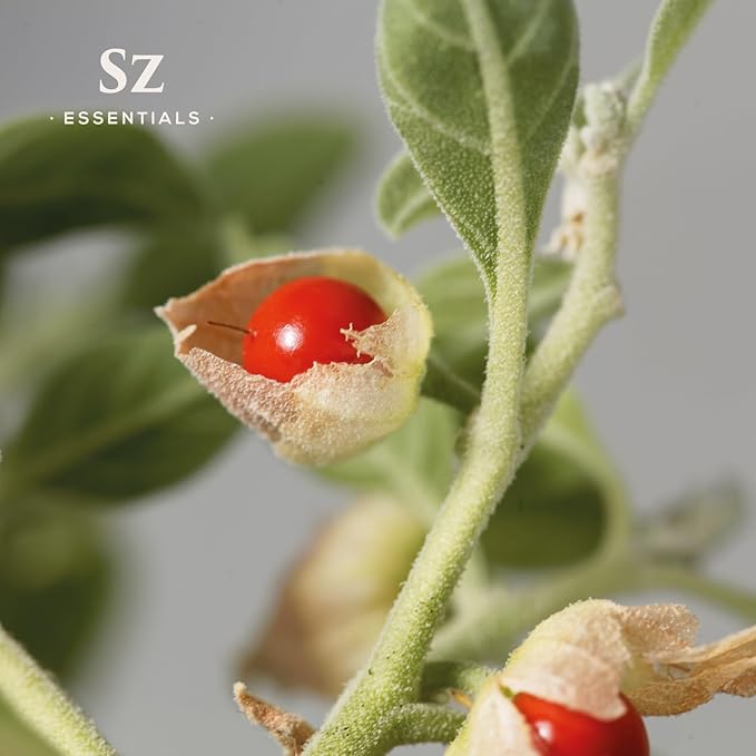 Ashwagandha Essential Oil, 100% Pure and Natural - Undiluted, Steam Distilled from Withania Somnifera - Woody & Earthy Scent with Nutty Overtones - Therapeutic Grade & Vegan - 0.17oz-Velvo Beauty