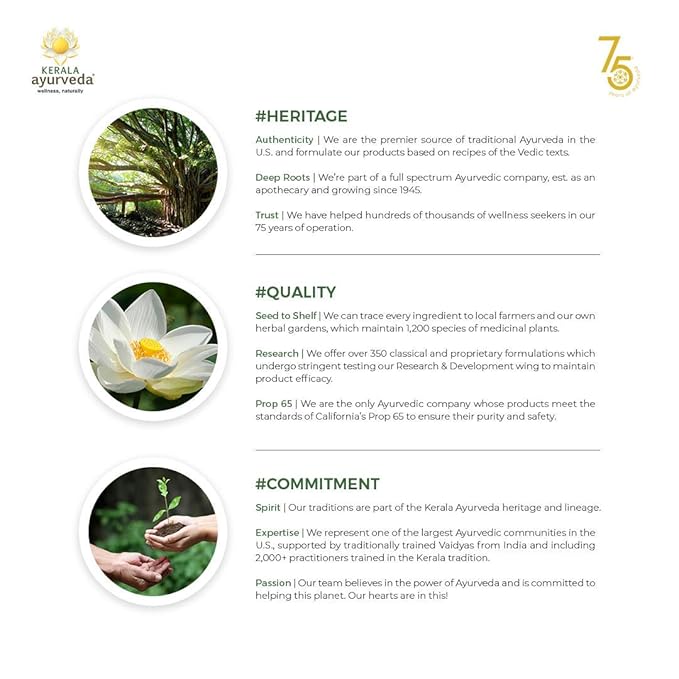 Kerala Ayurveda Kesini Hair Oil (3.38 fl oz) | Herbal Blend with Bacopa, Hibiscus, Amla, Indigo, Castor & Coconut Oil | Deeply Nourishes Dry Scalp & Strengthens Hair | Paraben-Free, Mineral Oil-Free-Velvo Beauty